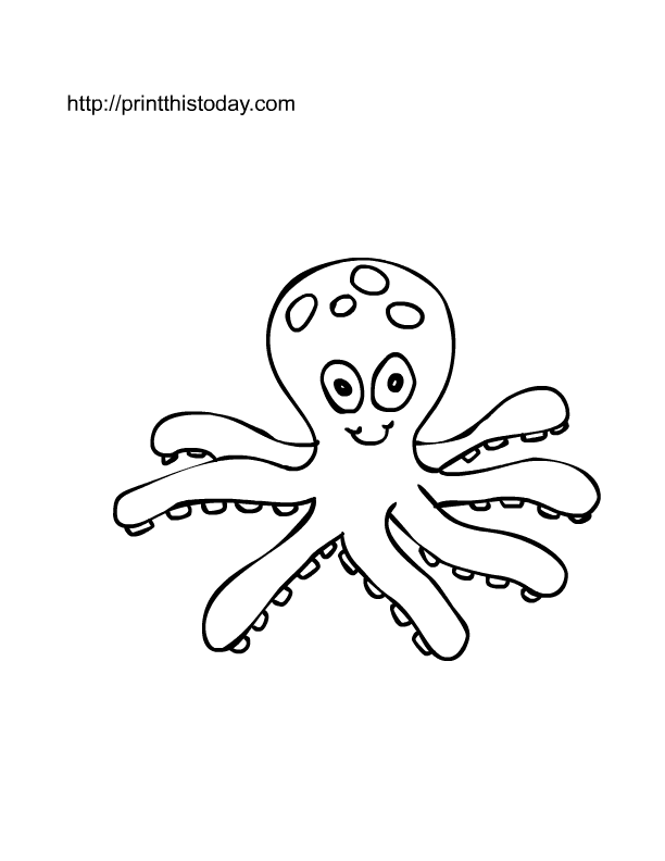 Pulpo #8745