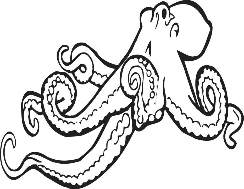Pulpo #8746