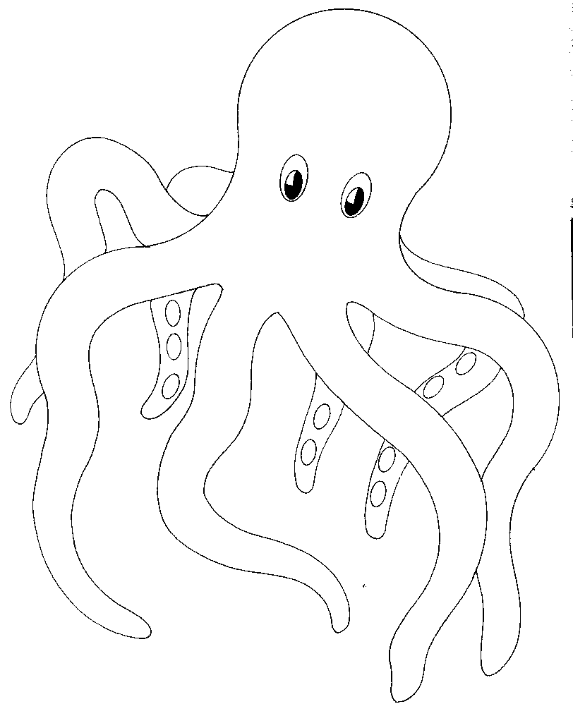 Pulpo #8748