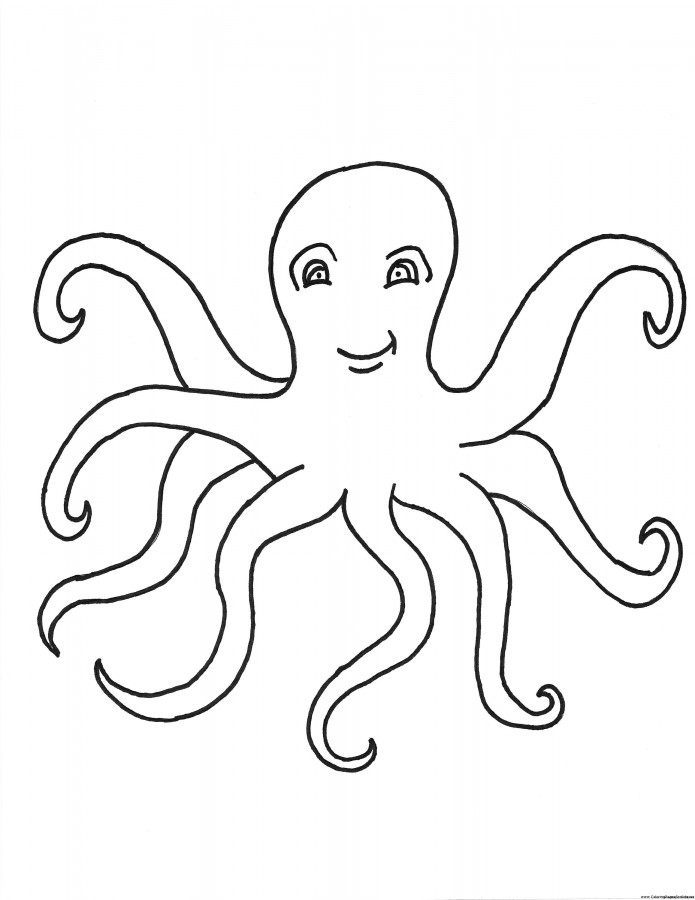 Pulpo #8749