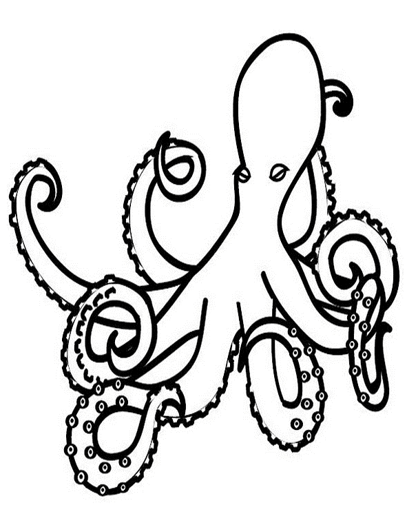 Pulpo #8752