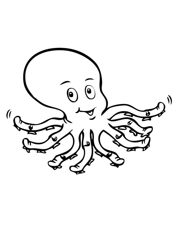 Pulpo #8753
