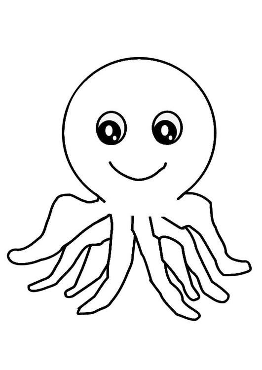 Pulpo #8754