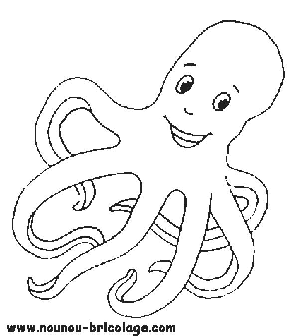 Pulpo #8755