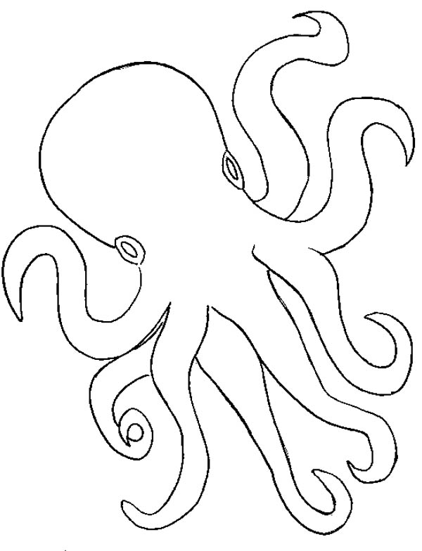 Pulpo #8759