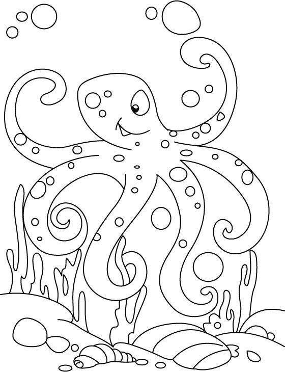 Pulpo #8760