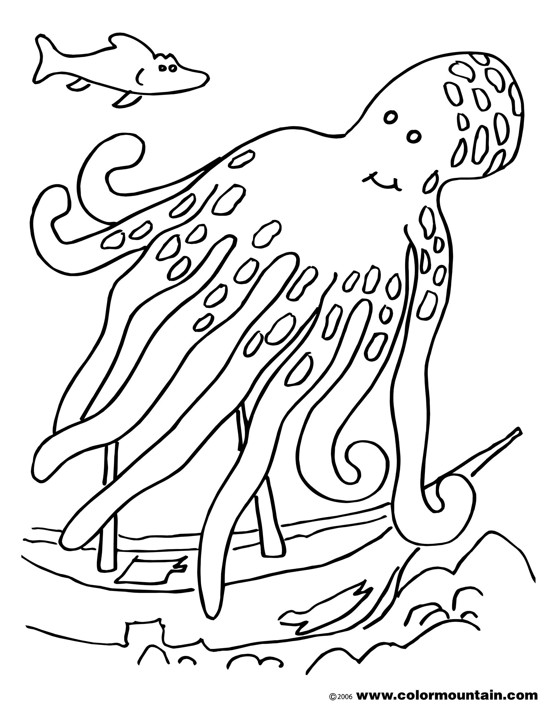 Pulpo #8762