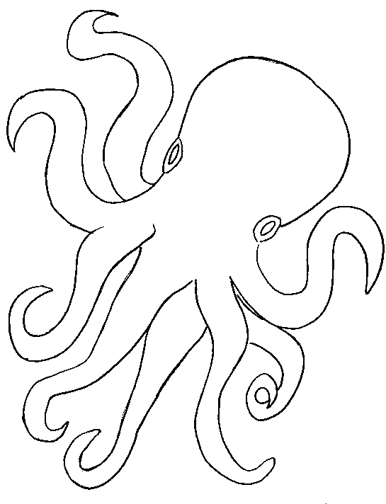 Pulpo #8763