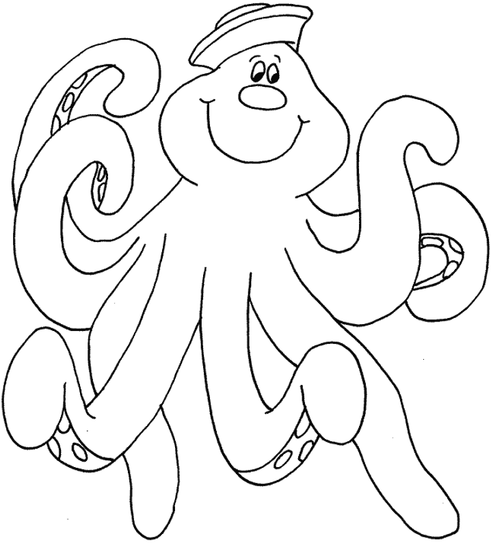 Pulpo #8764