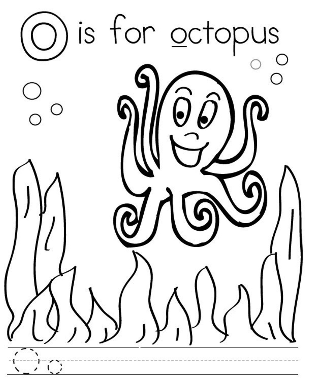 Pulpo #8771