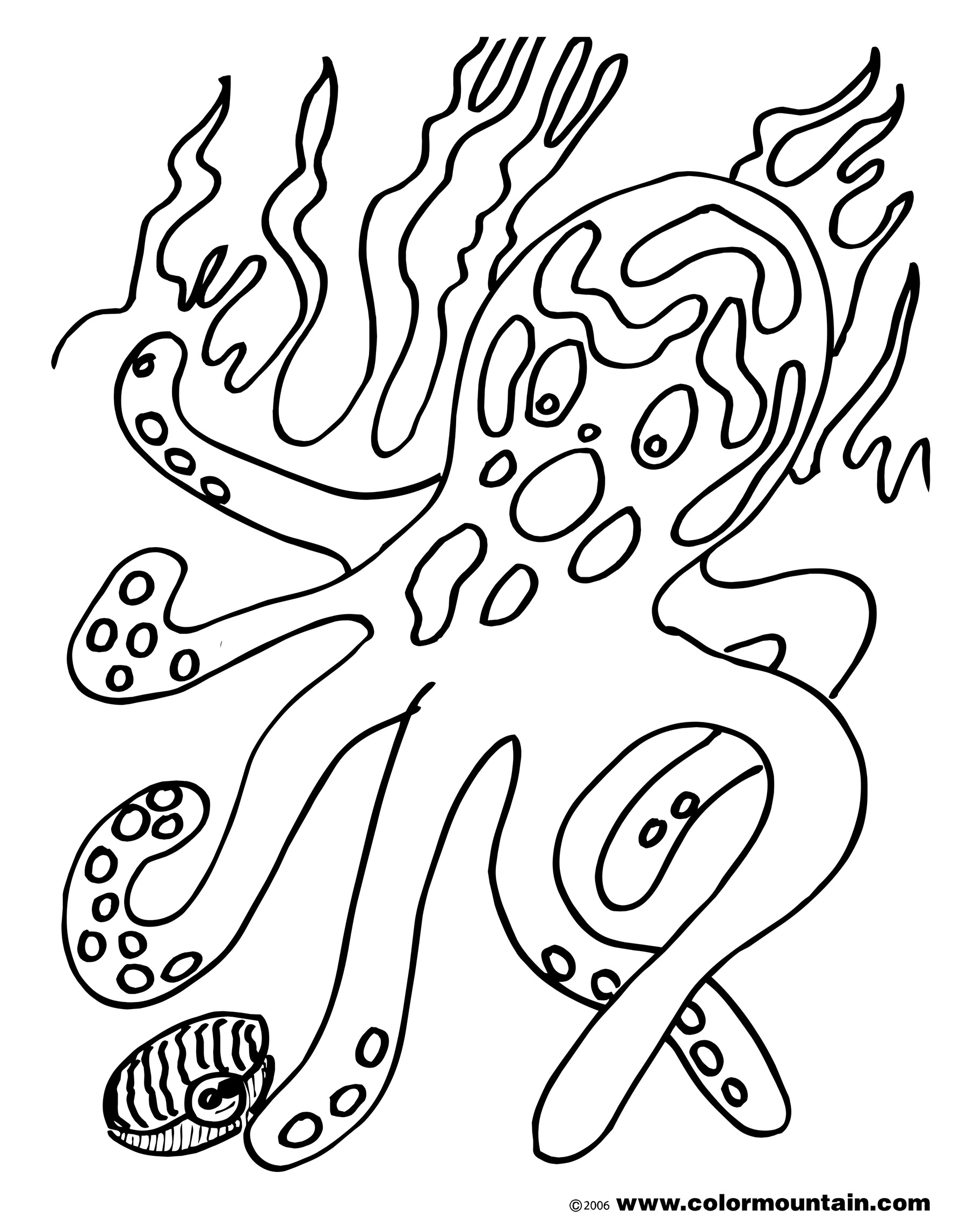 Pulpo #8774