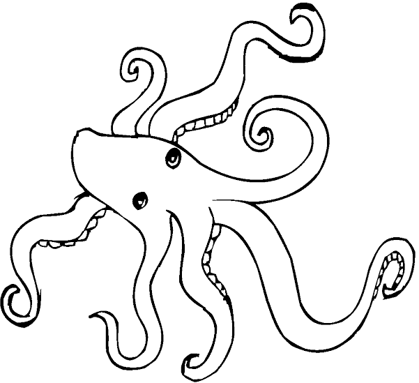Pulpo #8777