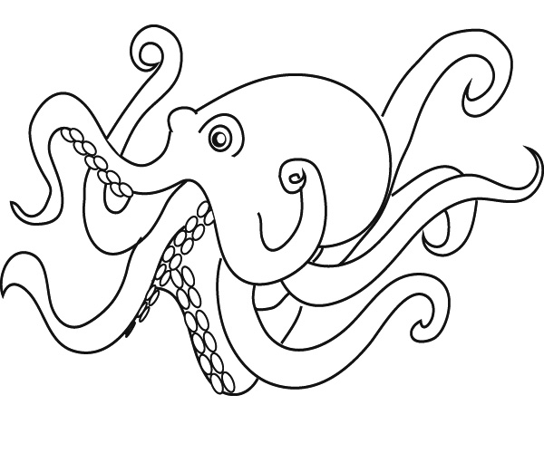 Pulpo #8780