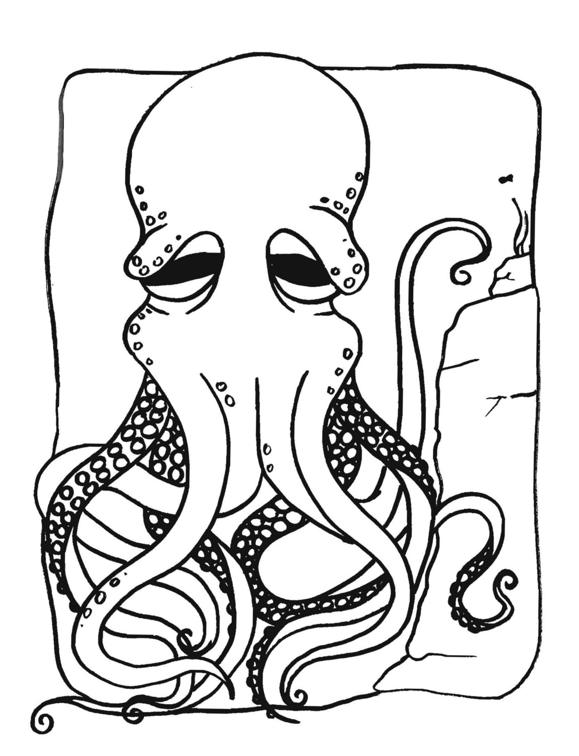 Pulpo #8781