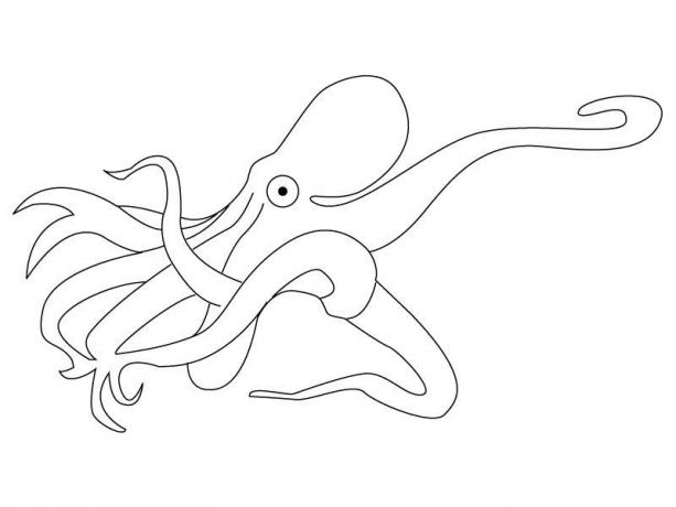 Pulpo #8782