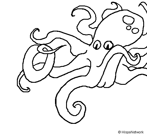 Pulpo #8787