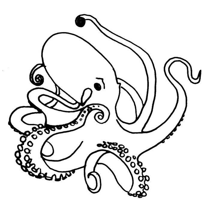 Pulpo #8788