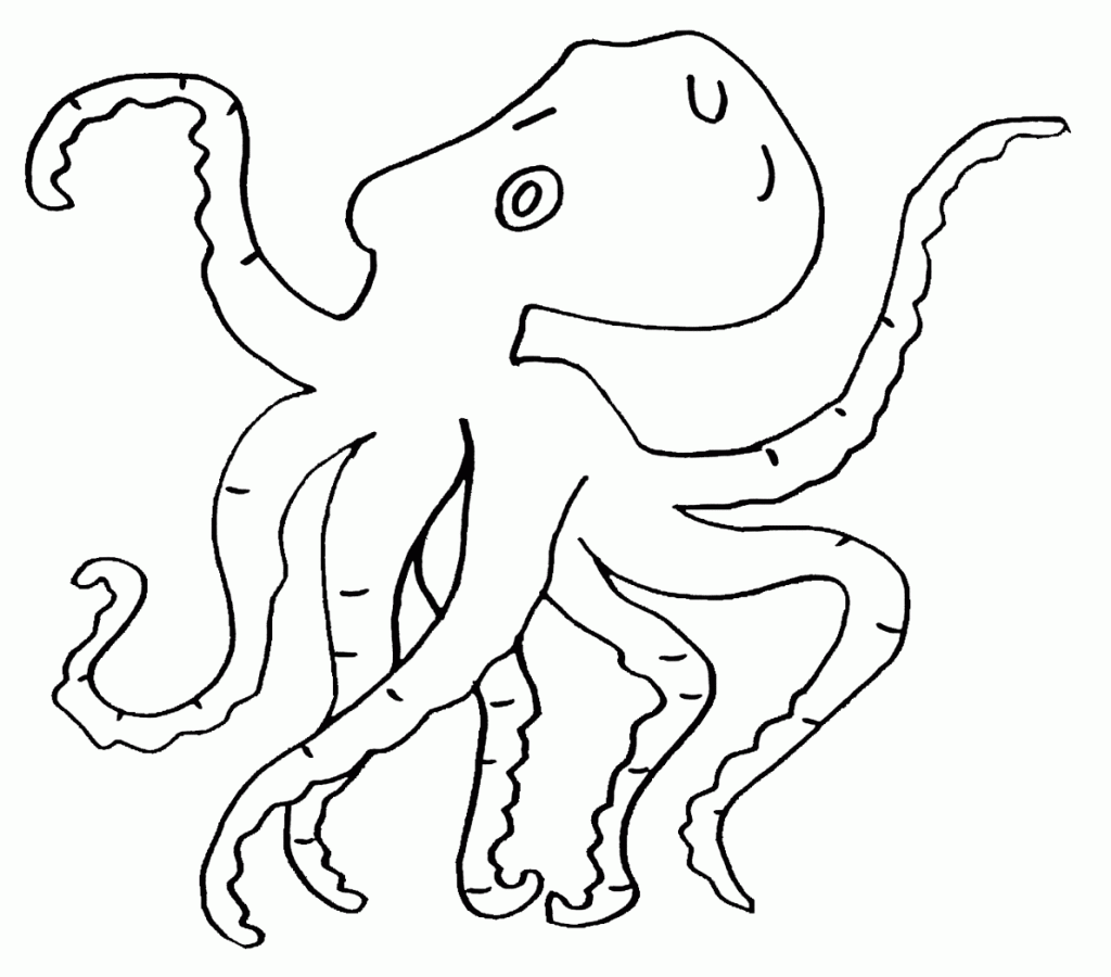 Pulpo #8789