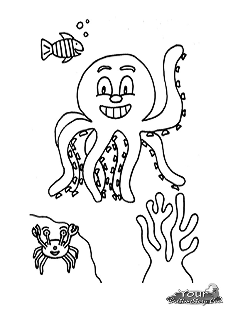 Pulpo #8790
