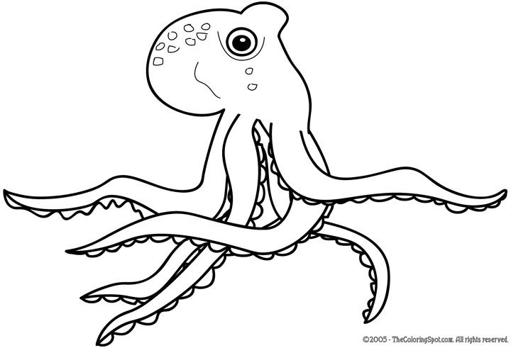 Pulpo #8794
