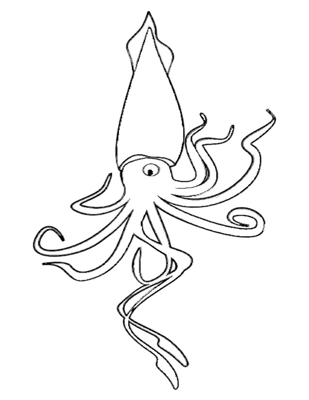 Pulpo #8795