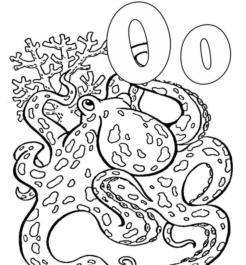 Pulpo #8796