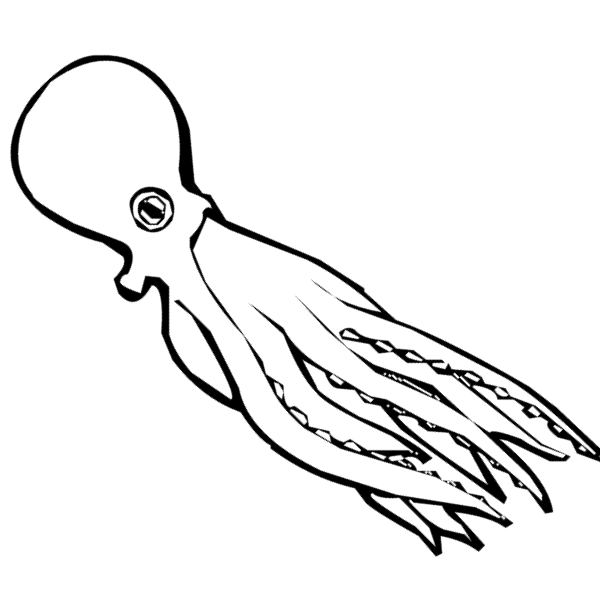 Pulpo #8797