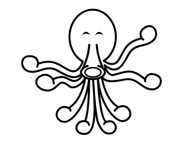 Pulpo #8800