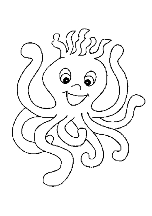Pulpo #8804