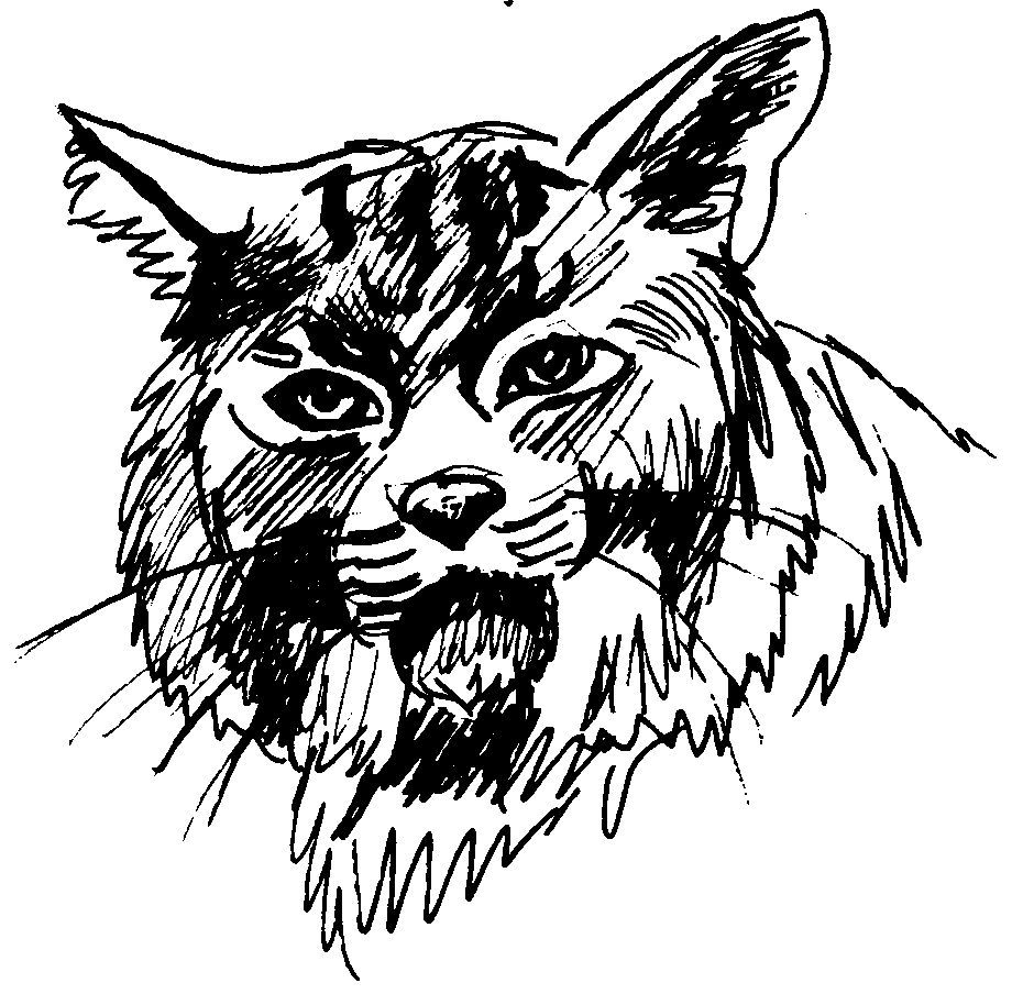 Puma #8829