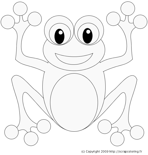 Rana #8867