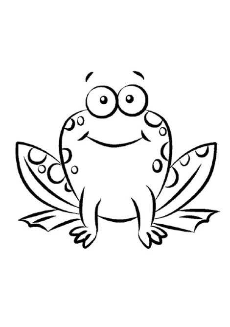 Rana #8870