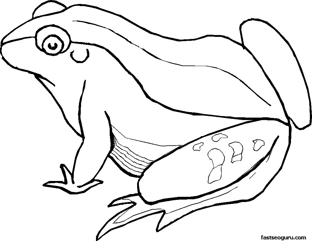 Rana #8881