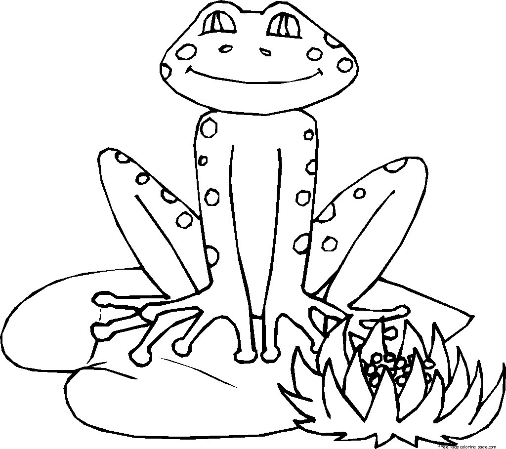 Rana #8884