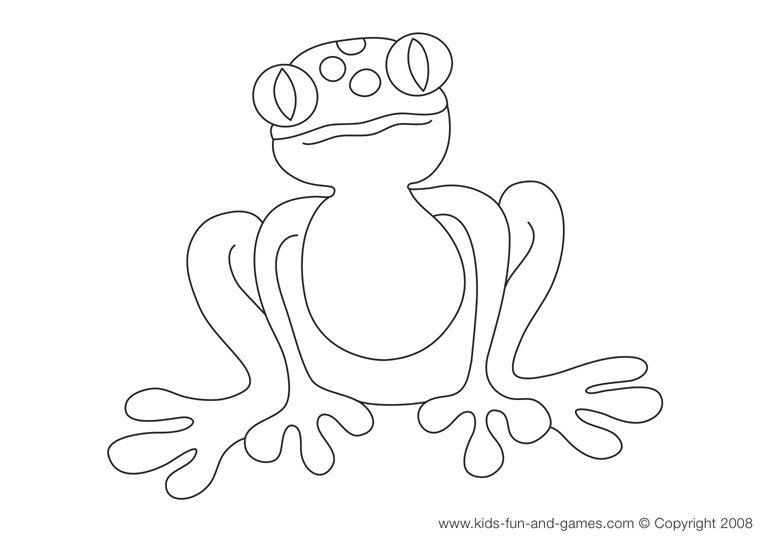 Rana #8920