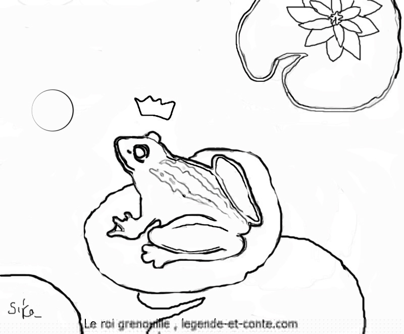 Rana #8935