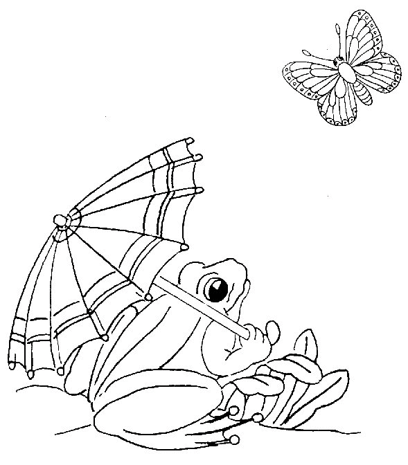Rana #8943