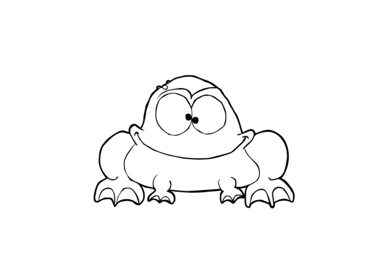 Rana #8953
