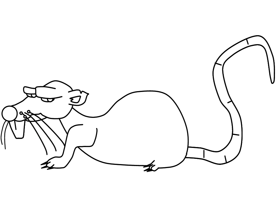 Rata #8969