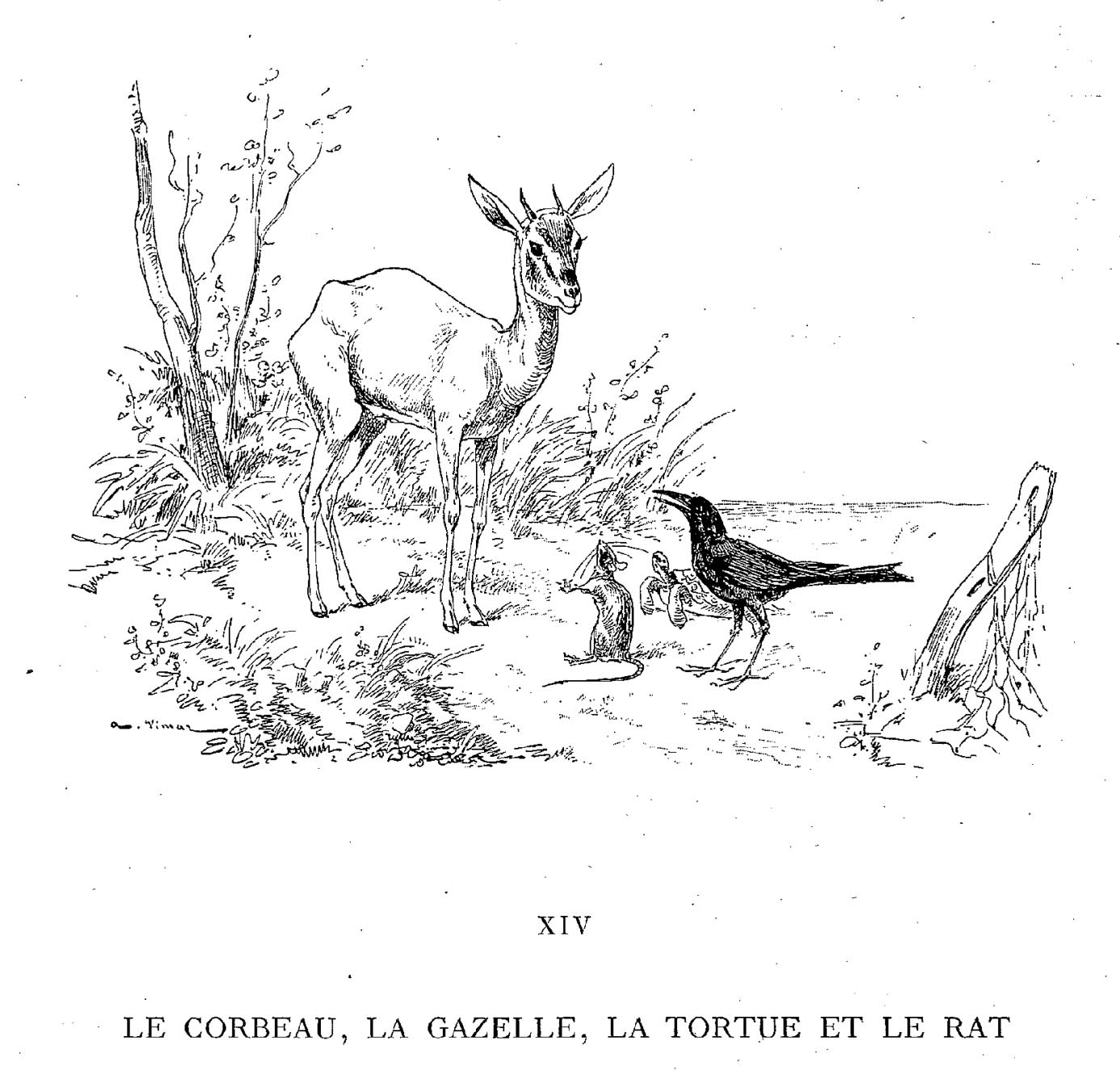 Rata #8985