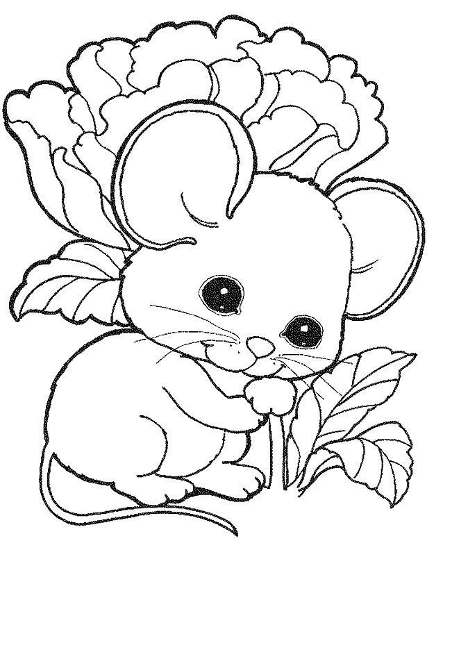 Ratón #9012