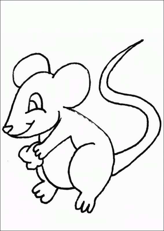Ratón #9013