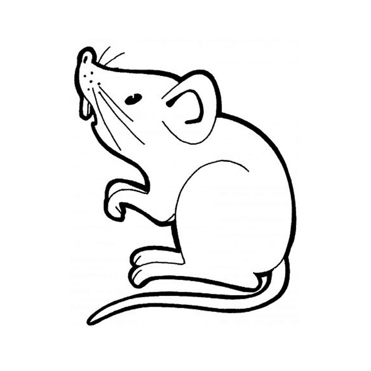 Ratón #9014