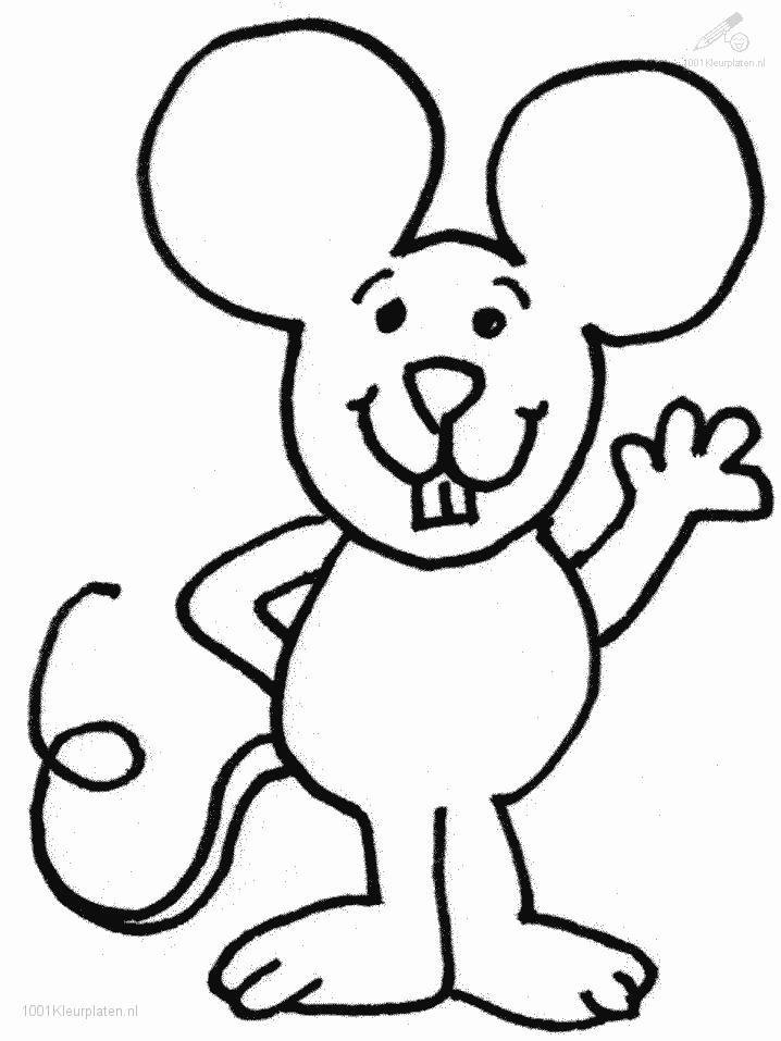 Ratón #9016