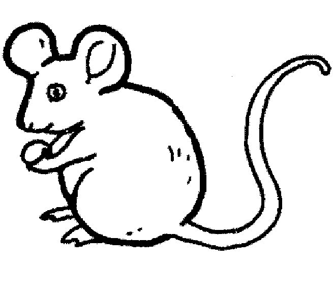 Ratón #9021