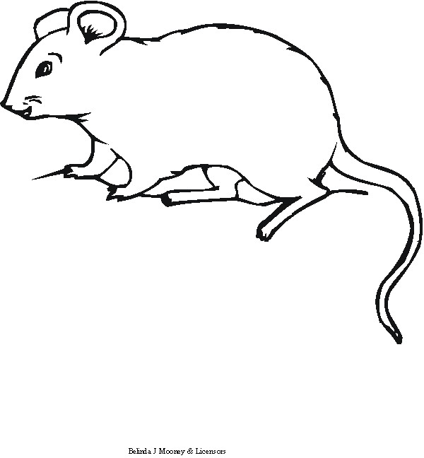 Ratón #9034