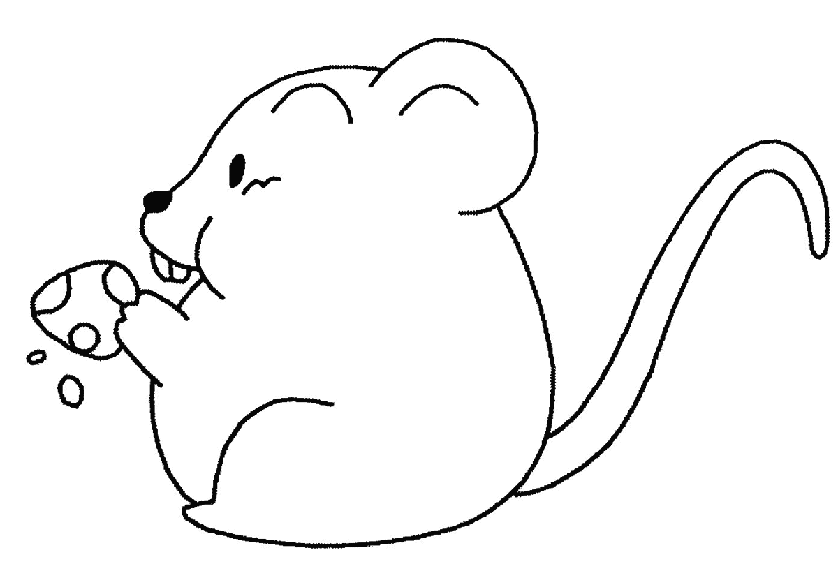 Ratón #9043