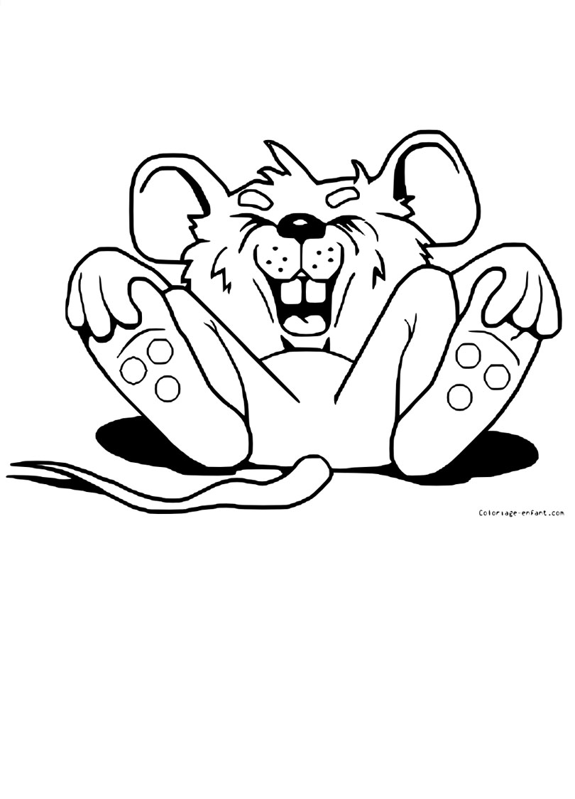 Ratón #9048