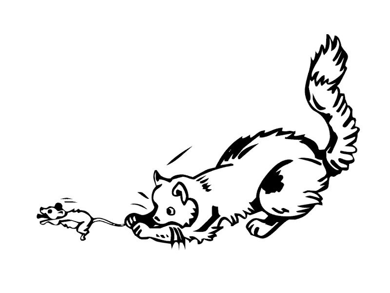 Ratón #9050