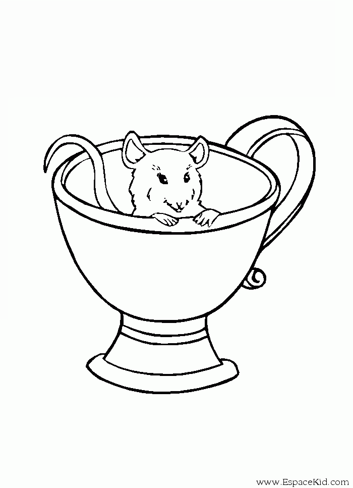 Ratón #9054